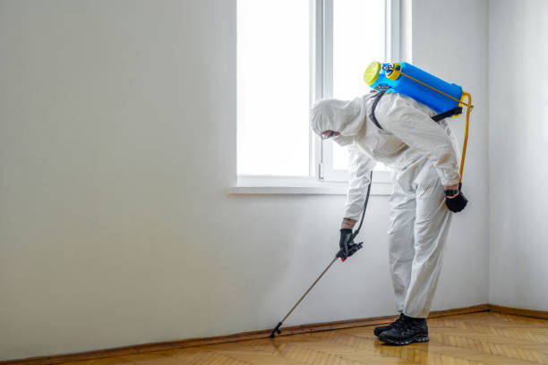 Real Estate Pest Inspections in South Windham, CT